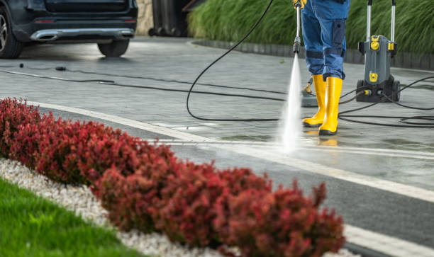 Trusted Kings Park West, VA Pressure Washing Services Experts